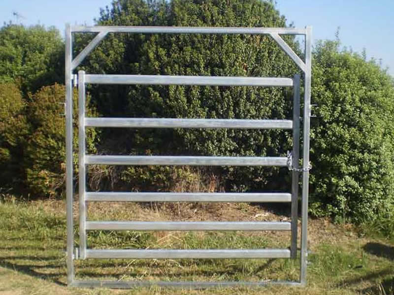 Cattle Panel Gate